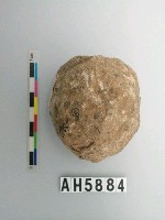 藏品(球形石錘)的圖片